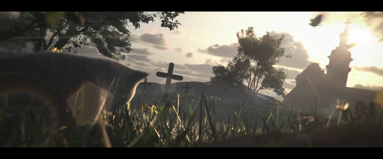 Morning Realtime Shot